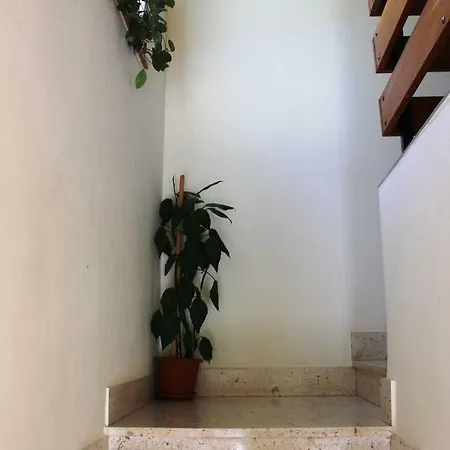Appartement Markov
